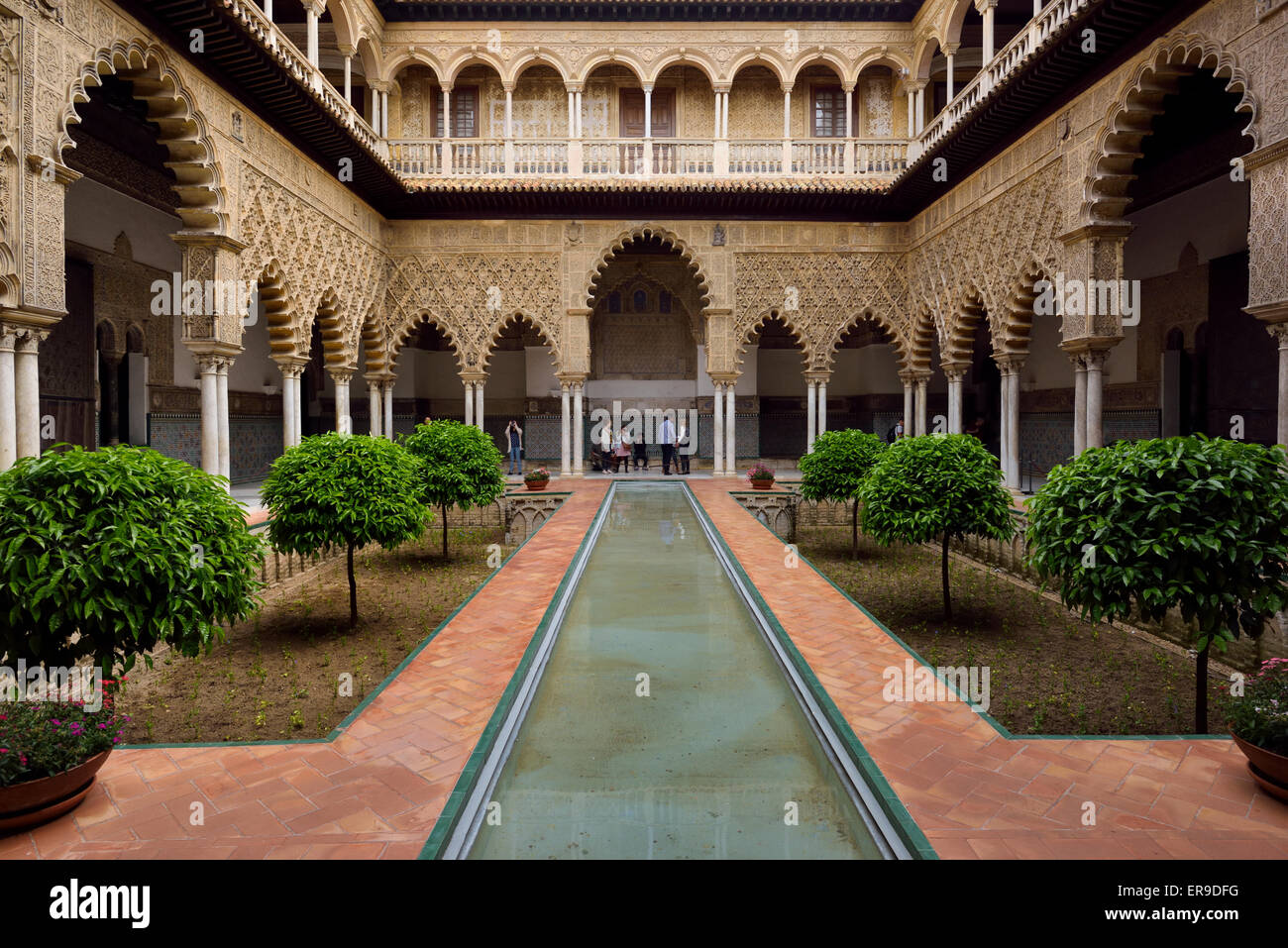 Widerspiegelnder Teich im Innenhof der Jungfrauen im Alcazar Palast Sevilla Andalusien Spanien Stockfoto