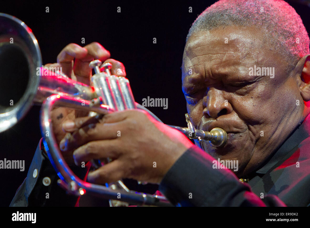 Turin, Italien, 29. Mai 2015. Südafrikanische Jazzmusiker Hugh Masekela in Konzert in Torino Jazz Festival Stockfoto