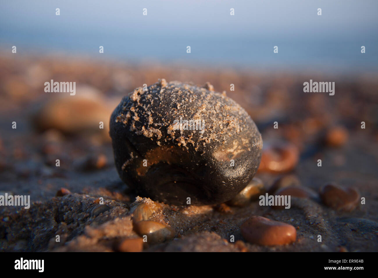 Kiesstrand Meer nassen Sand Steinen Horizont grau braun Schärfentiefe Stockfoto