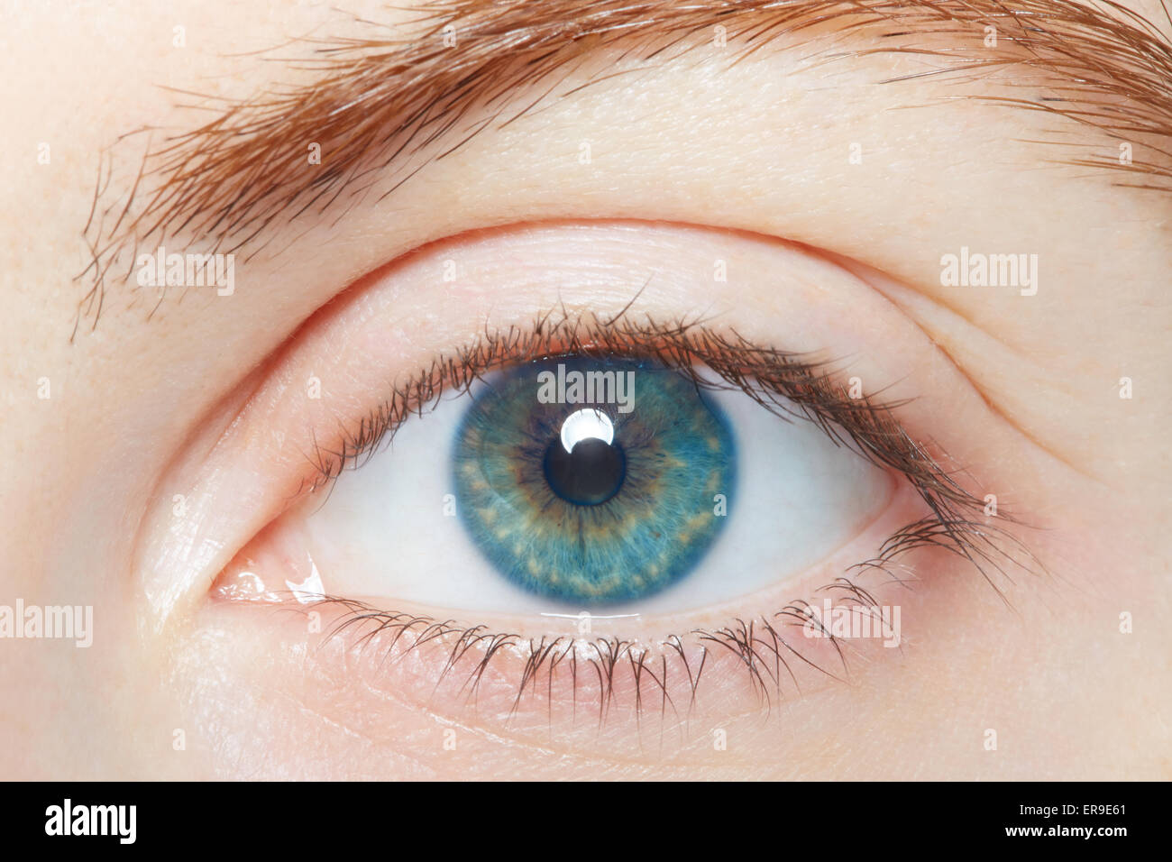 Menschliche, blauen gesunden Auges Makro Stockfoto