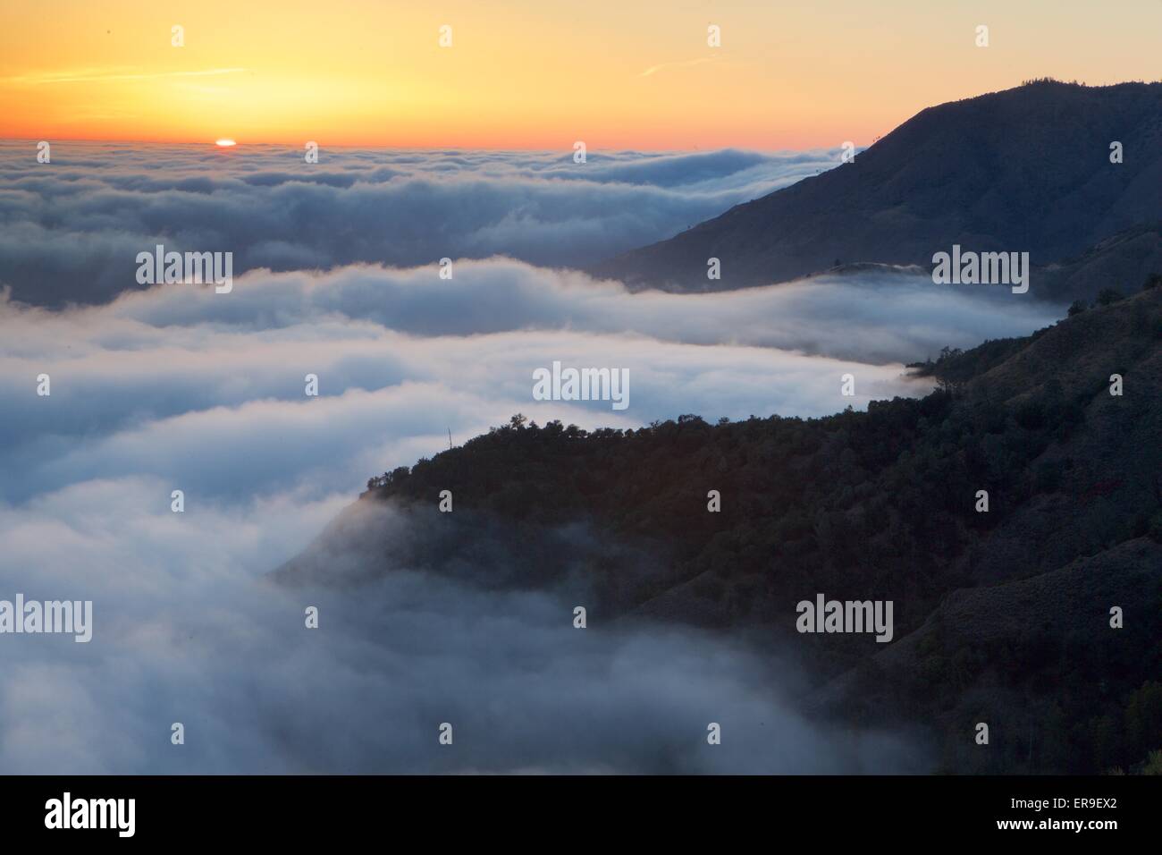 Küstennebel bei Sonnenuntergang in Big Sur, Kalifornien. Stockfoto