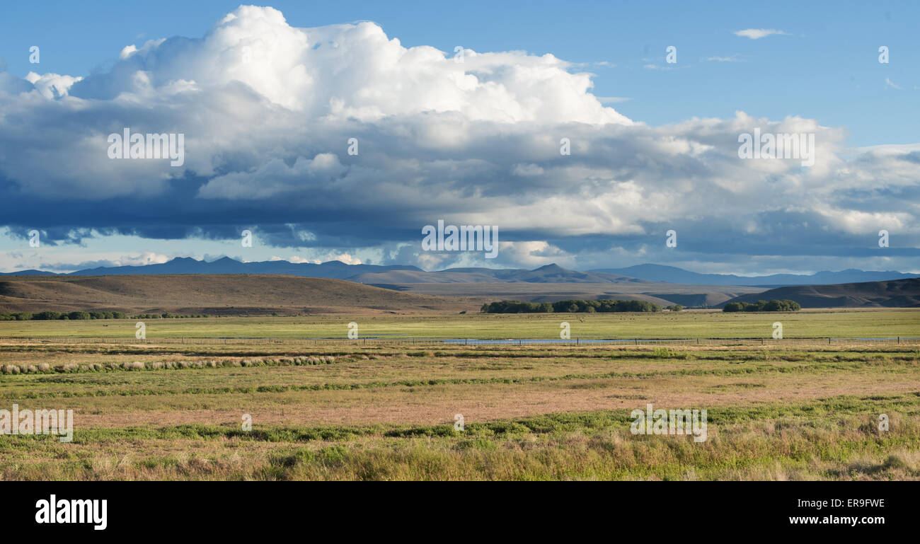Von der Ruta 40 durch argentinischen Patagonien. Stockfoto
