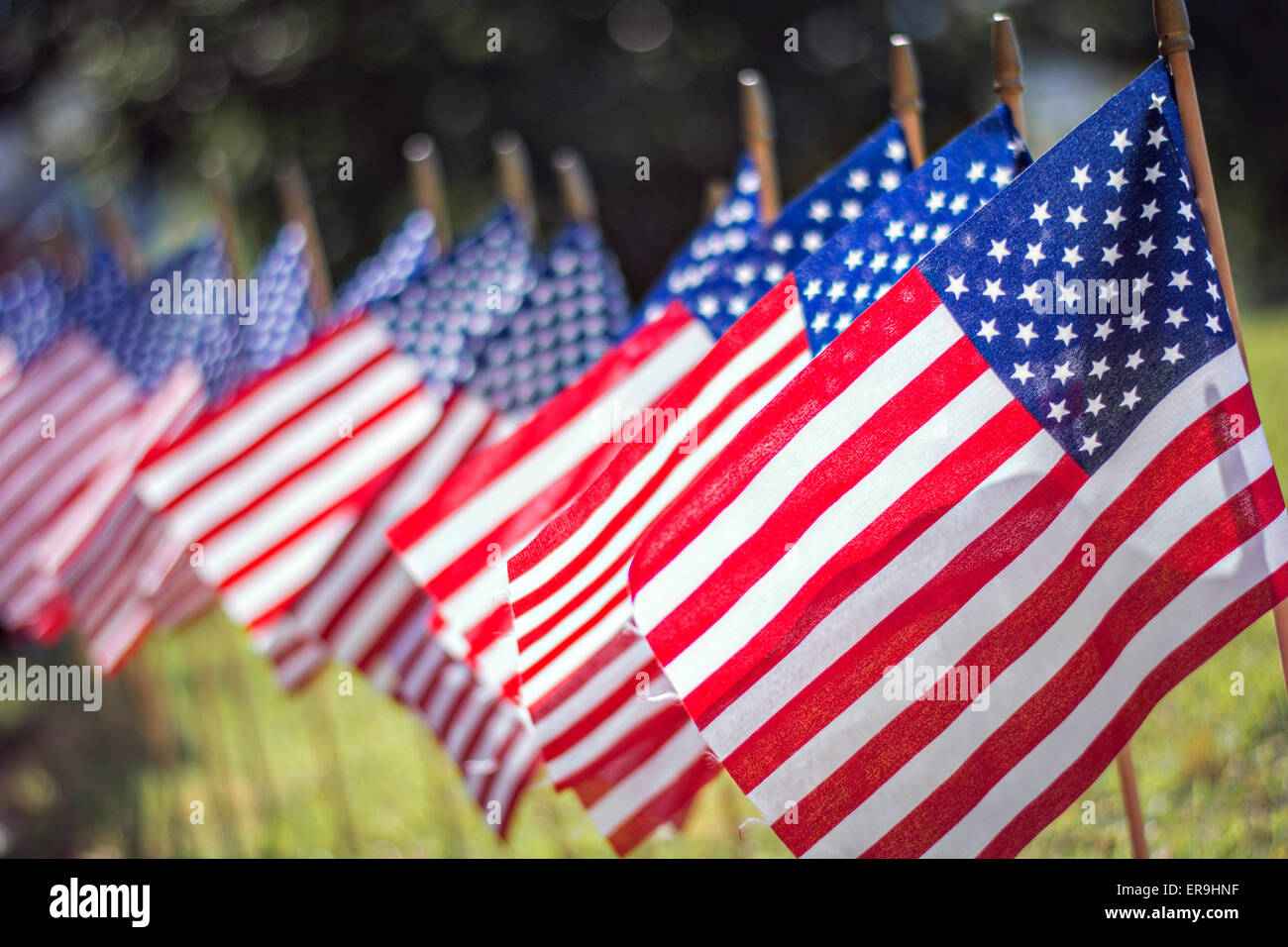 Amerikanische Flaggen läuten zu Ehren des Memorial Day 24. Mai 2015 in Clemson, South Carolina die Schriftrolle der Ehre an der Clemson University. Die Scroll of Honor ist ein Barrow kreiste in Steinen, die mit den Namen aller 489 Clemson-Alumni, die den Militärdienst starb geätzt. Stockfoto