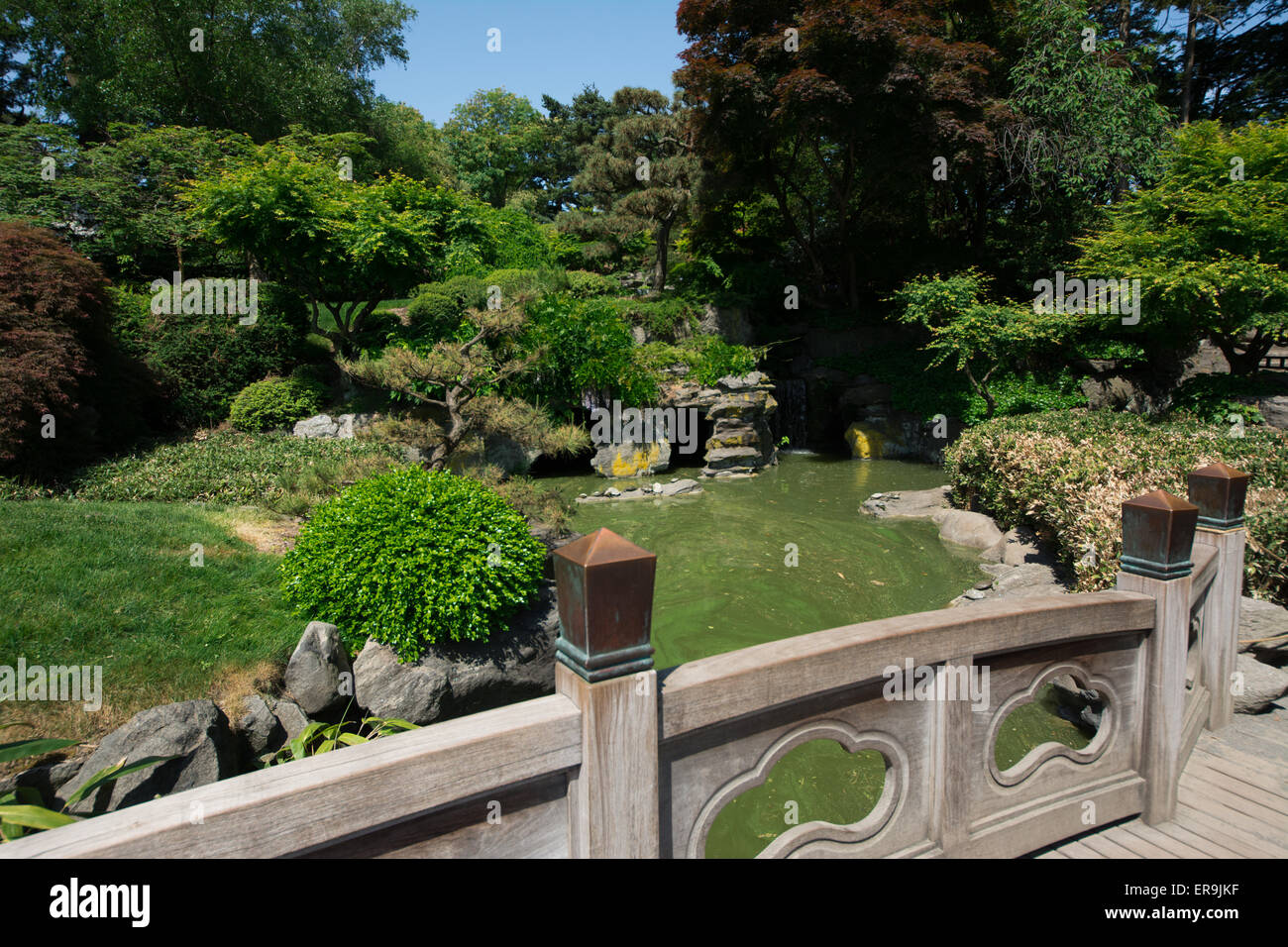 Die Brooklyn Botanical Garden ist ein botanischer Garten im Stadtteil Brooklyn, New York City. Stockfoto