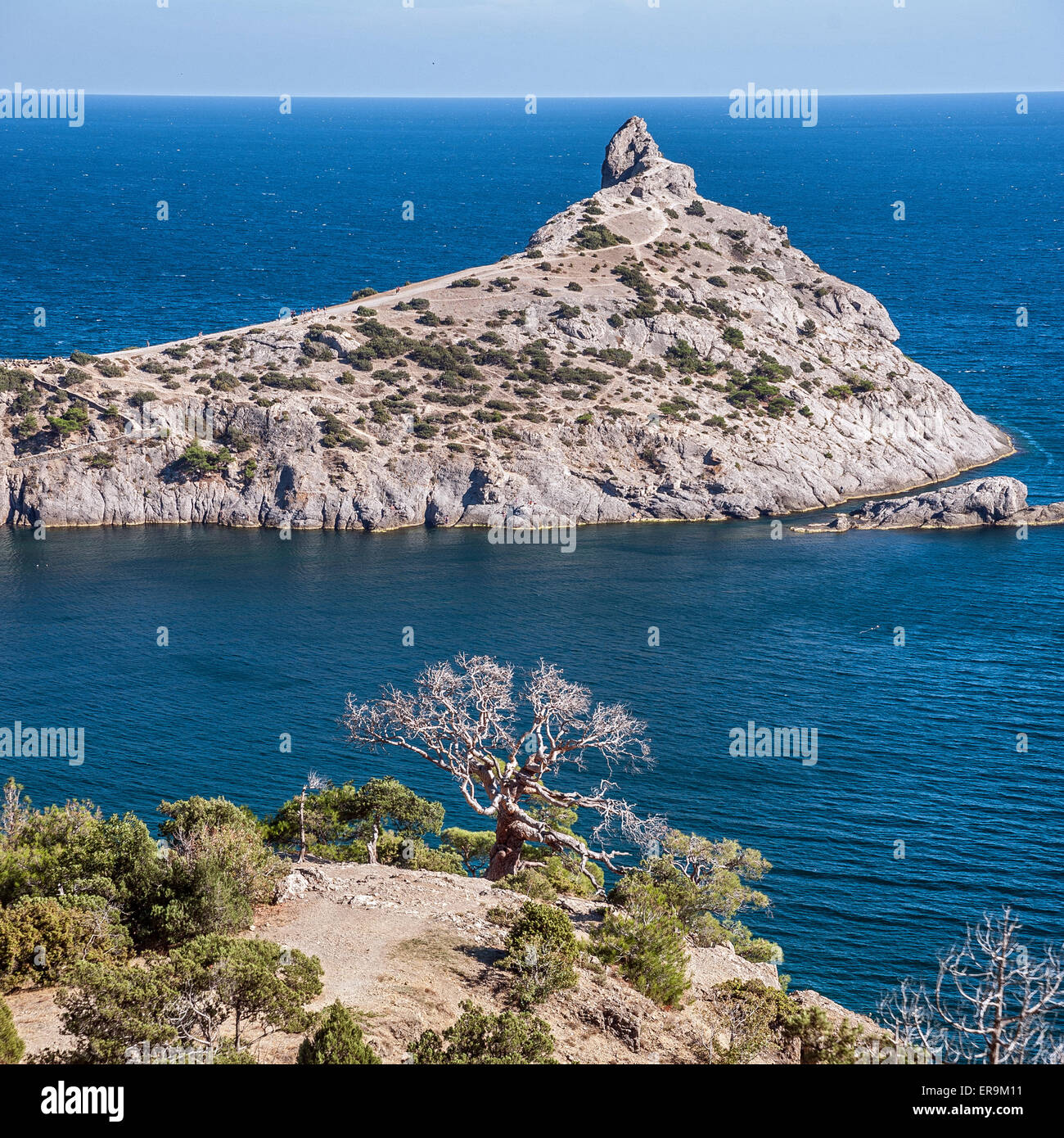 Krim, in der Nähe von Dorf Novy Svet. Blue Bay mit dem königlichen Strand. Wacholder und Kiefern Waldungen Relikt Stockfoto