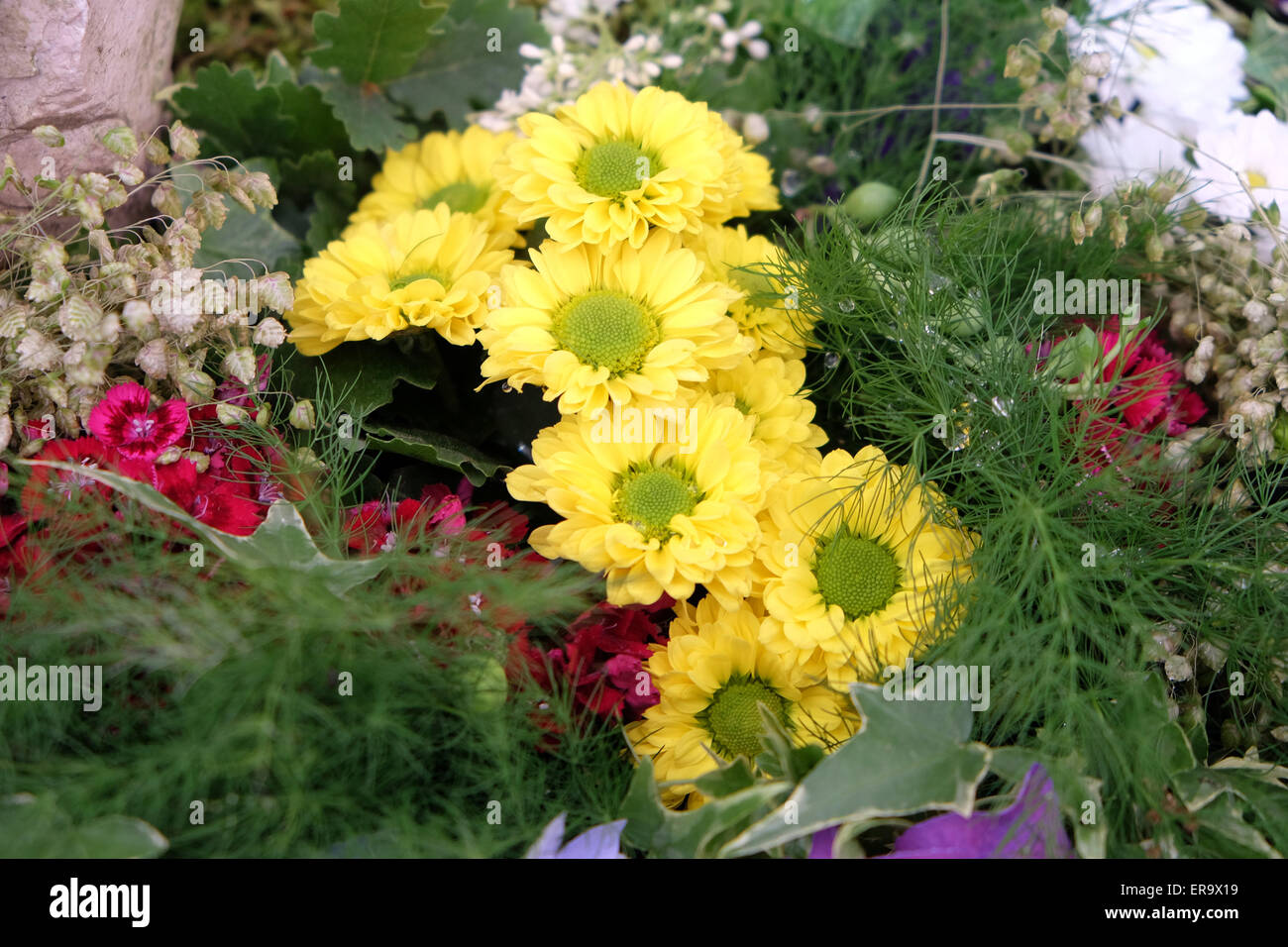 Blumen auf Floraart, 50 Internationale Gartenschau in Zagreb, Kroatien, am 27. Mai 2015 ausgesetzt. Stockfoto