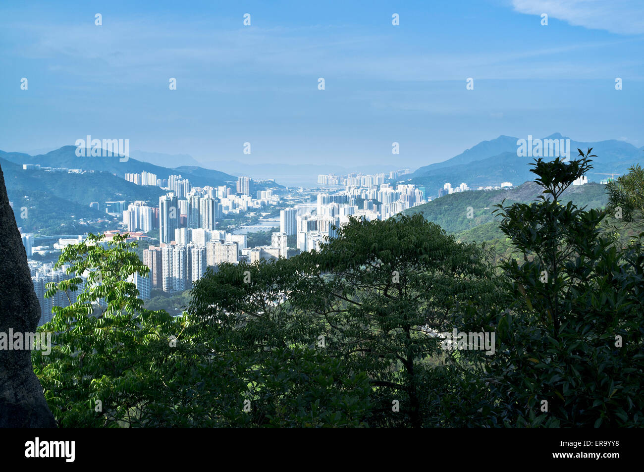 dh Sha Tin NEW TERRITORIES HONG KONG New Territories Hochhaus Wolkenkratzer Gehäuse Stockfoto