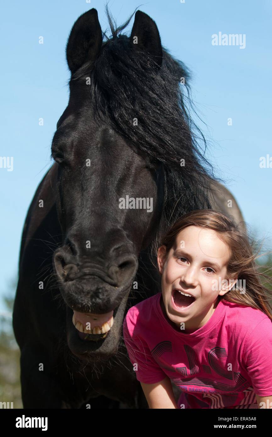 Lachendes pferd lustig Fotos und Bildmaterial in hoher Auflösung