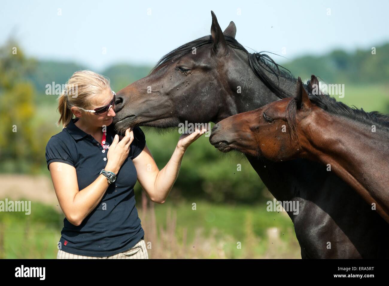 Pferd kuscheln Stockfotos und bilder Kaufen Alamy