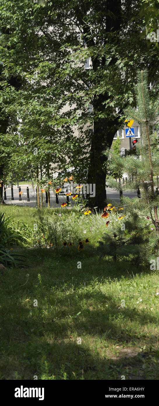 Am Straßenrand Garten mit Rasen, Bäumen, orange Blumen, Front aus Wohnungen, Zamenhofa Straße Ulica Mordechaja Anielewicza, Warschau Stockfoto