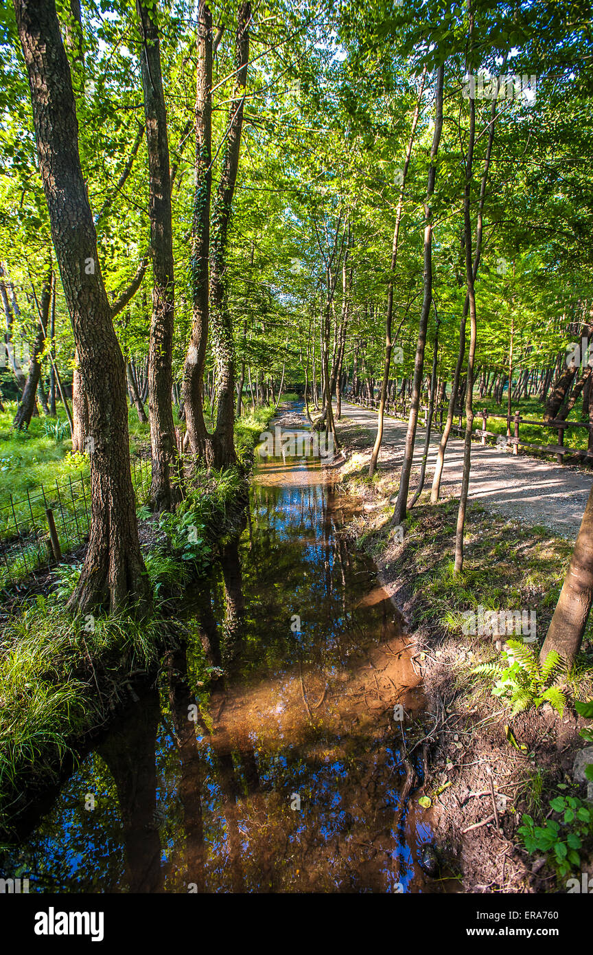 Italien Piemont Canavese Francigena Weise Ivrea Wälder in die Ländereien Tänzer Stockfoto