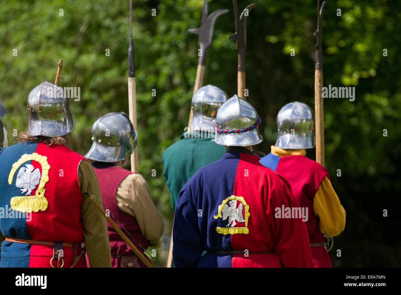 Bewaffnete Truppe von Soldaten oder Pikemen, im Krieg der Rosen Nachstellung von Sir John Saviles Haushalt 15. Jahrhundert Gruppe. Hoghton Tower Preston verwandelt mit lebendigen historischen Darstellungen von Handwerkern, Soldaten und dem Alltag aus der Zeit von Elizabeth Woodville (die weiße Königin) Und Richard III. Bekannt als die Cousins Krieg oder Krieg der Rosen war der dynastische Kampf zwischen den königlichen Haushalten von York und Lancaster, die jeweils beanspruchte ihr Recht zu regieren aus ihren Verbindungen zu den usurpierten Edward III.. Stockfoto