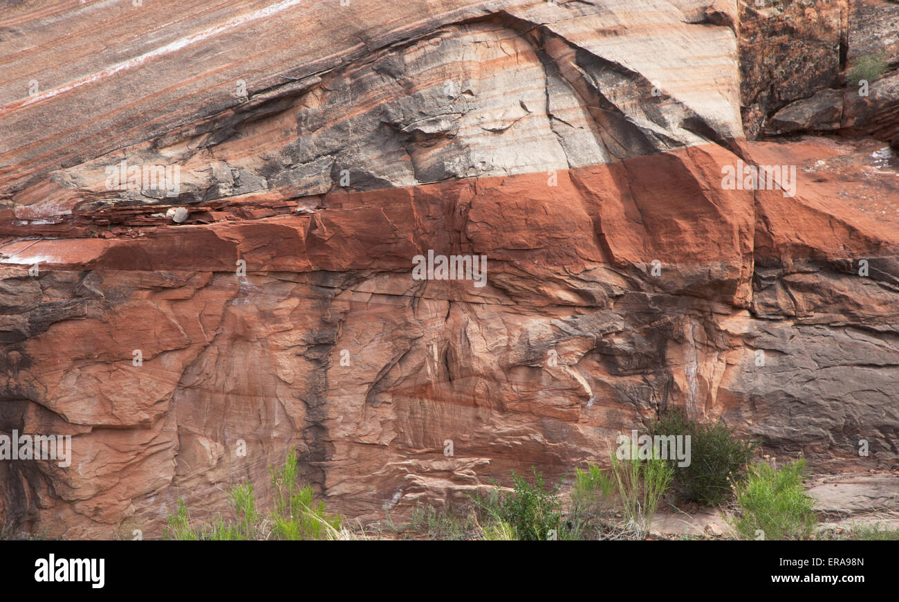 Sandstein Gesteinsschichten im jeweiligen Canyons des südlichen Utah Stockfoto