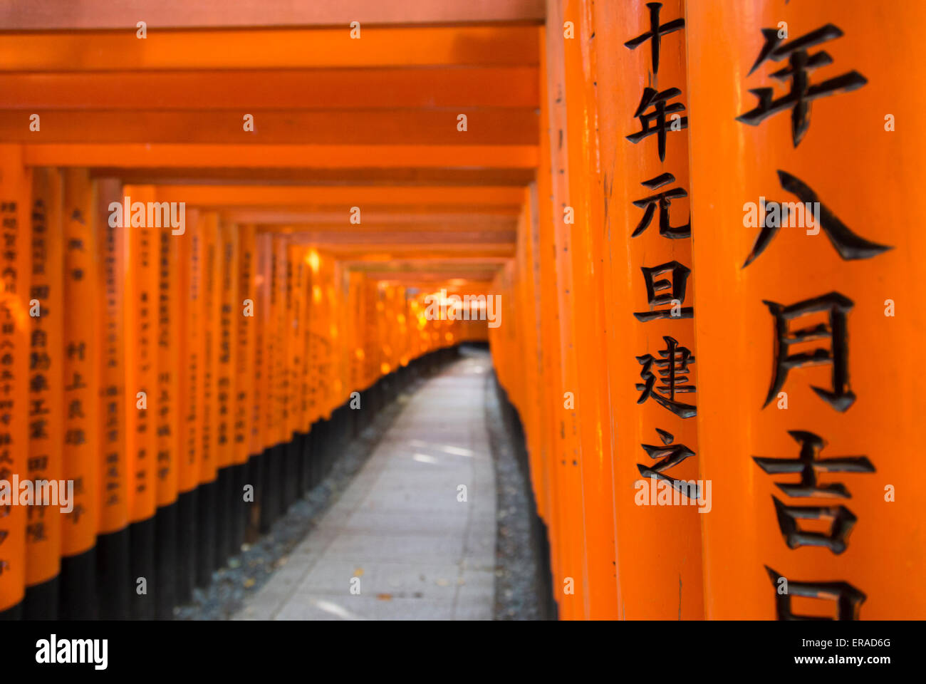 Torii-Tore in Fushimi Inari Schrein, Kyoto, Japan Stockfoto