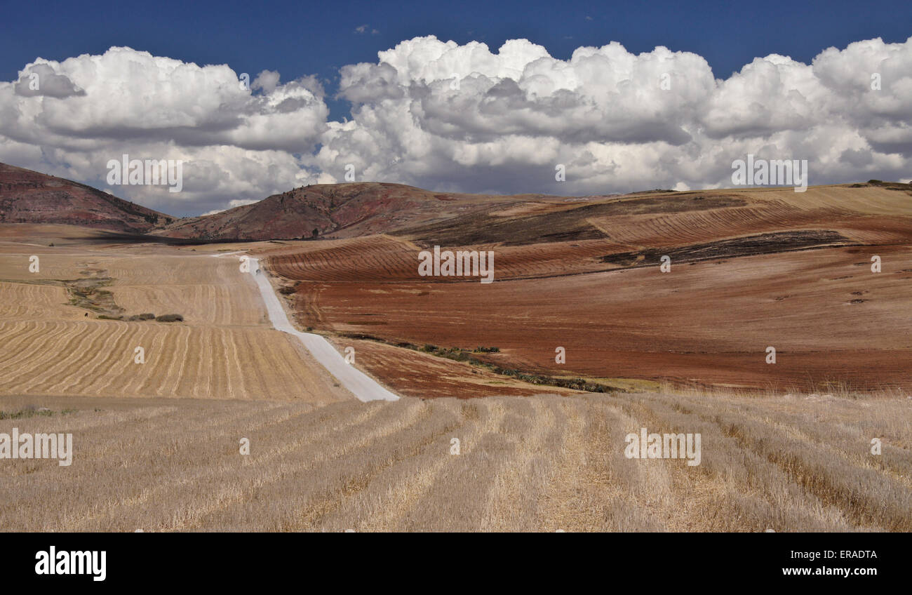 Geerntete Felder in der Urubamba-Tal, Peru Stockfoto