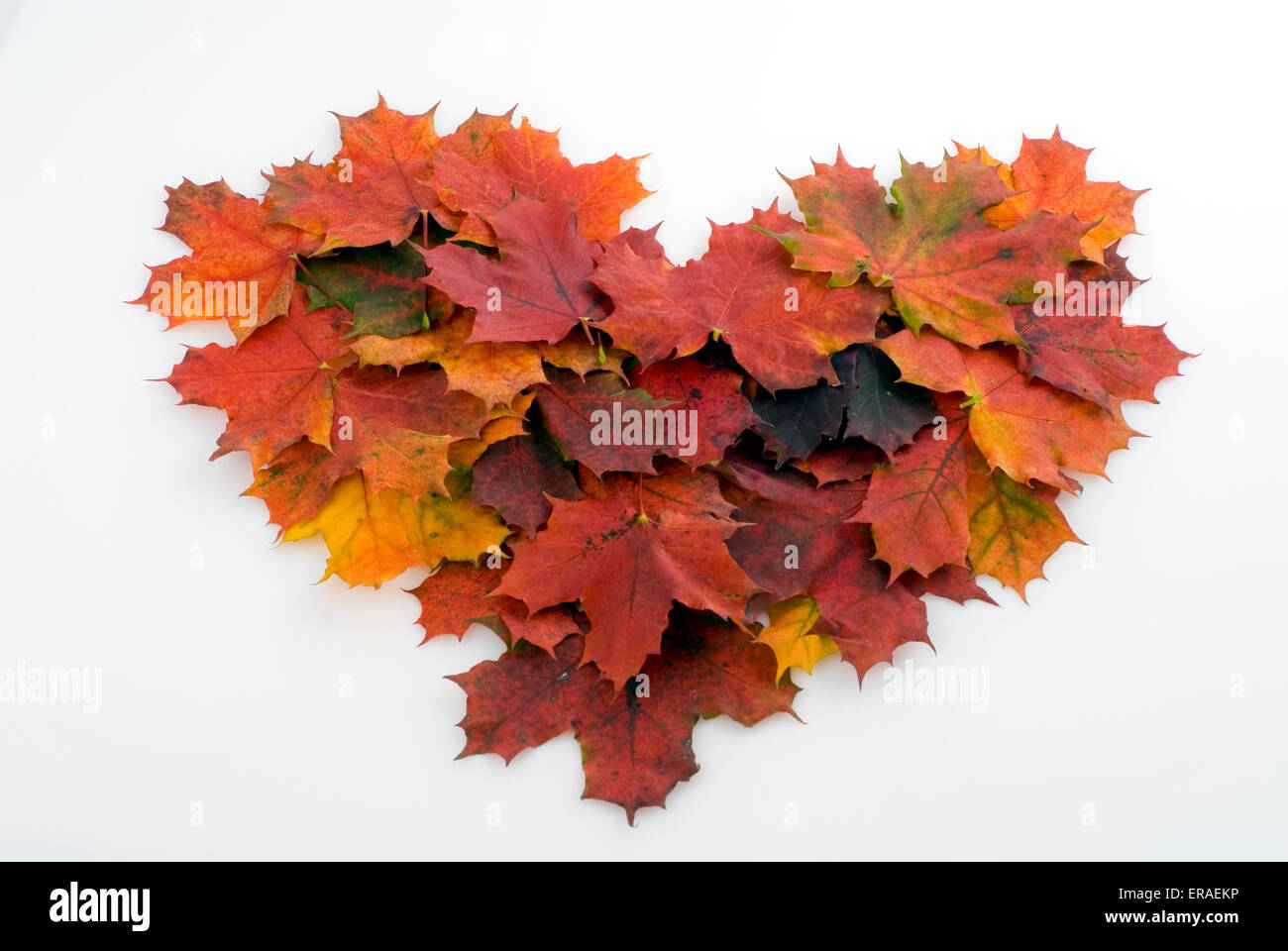 Herz mit Ernte Blätter Stockfoto