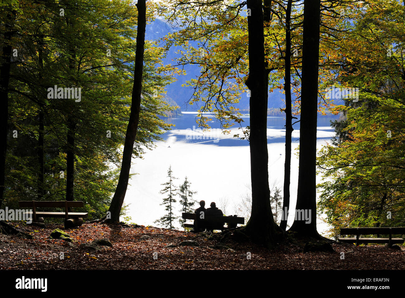 Blick vom Malerwinkel auf Königssee oberen Bayern Deutschland Europa Stockfoto