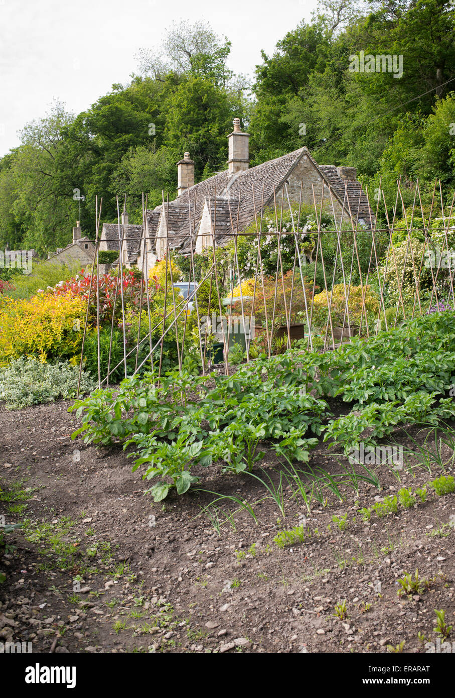 Gemüse Garten und Country Cottages in Bibury im Frühjahr. Cotswolds, Gloucestershire, England Stockfoto