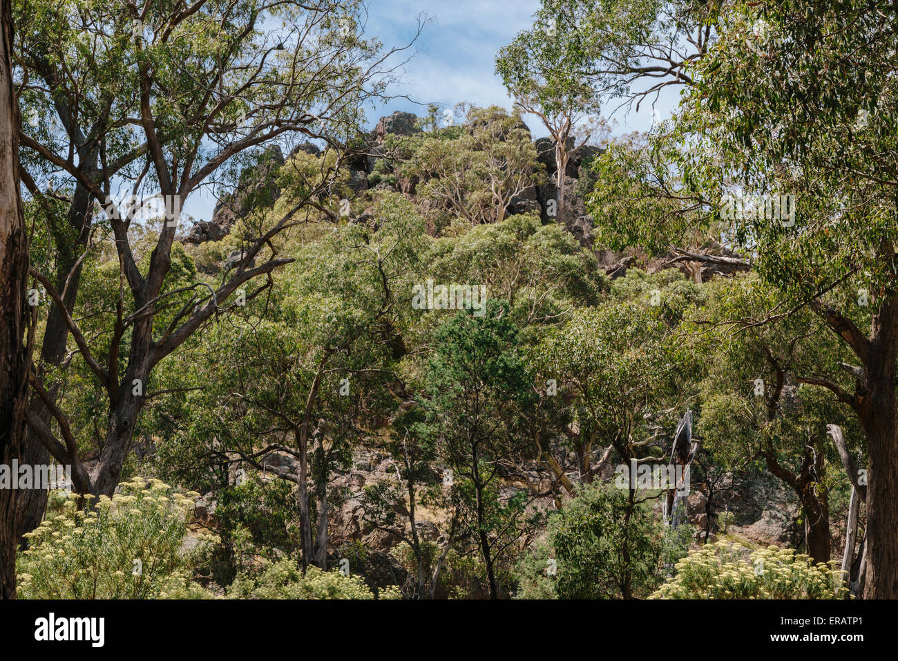 Hanging Rock (Mt. Diogenes) Erholung Reserve, Macedon Ranges, Victoria, Australien Stockfoto