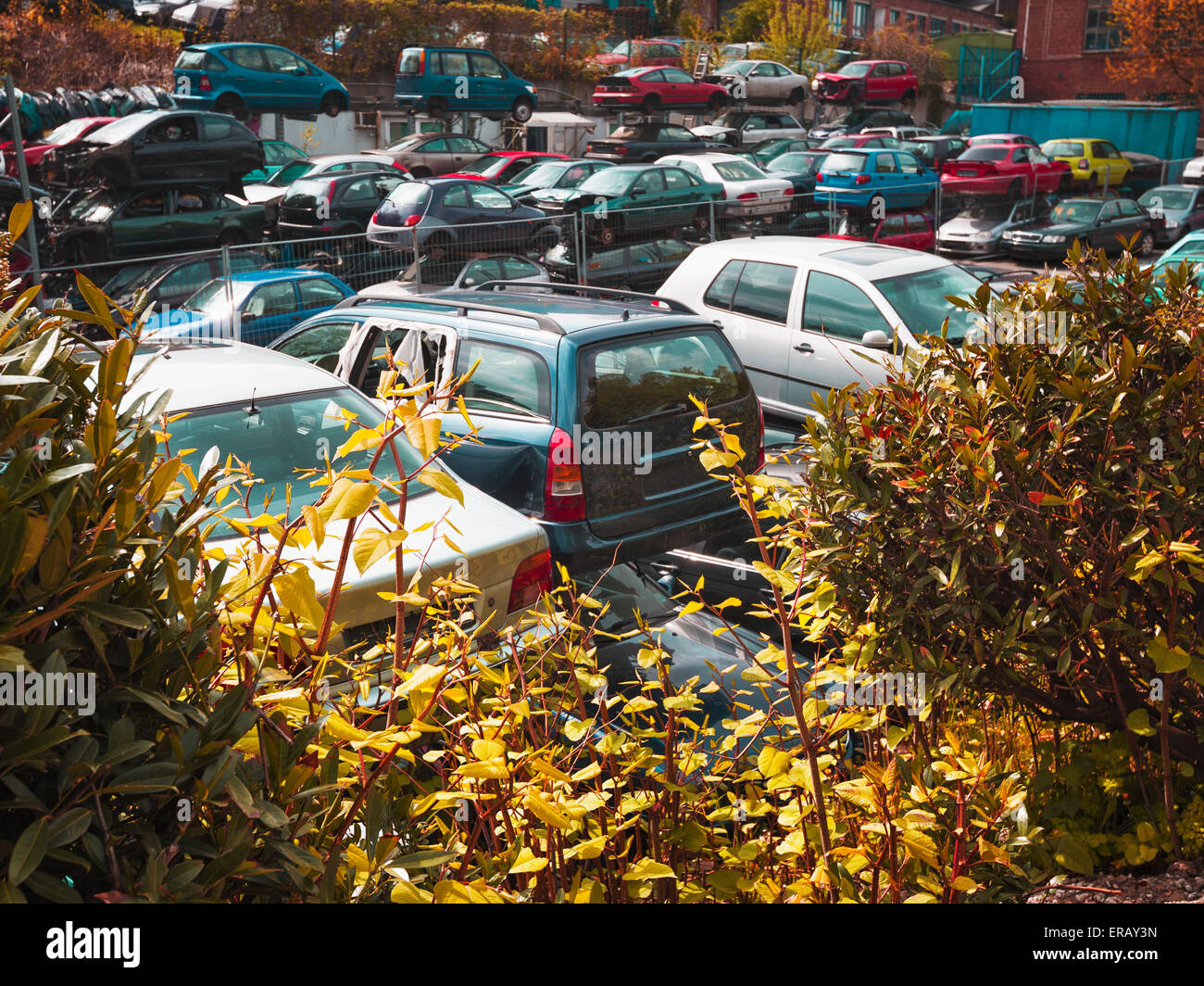 Zerstörte Autos auf dem Schrottplatz. In warmen Farben getönt Stockfoto