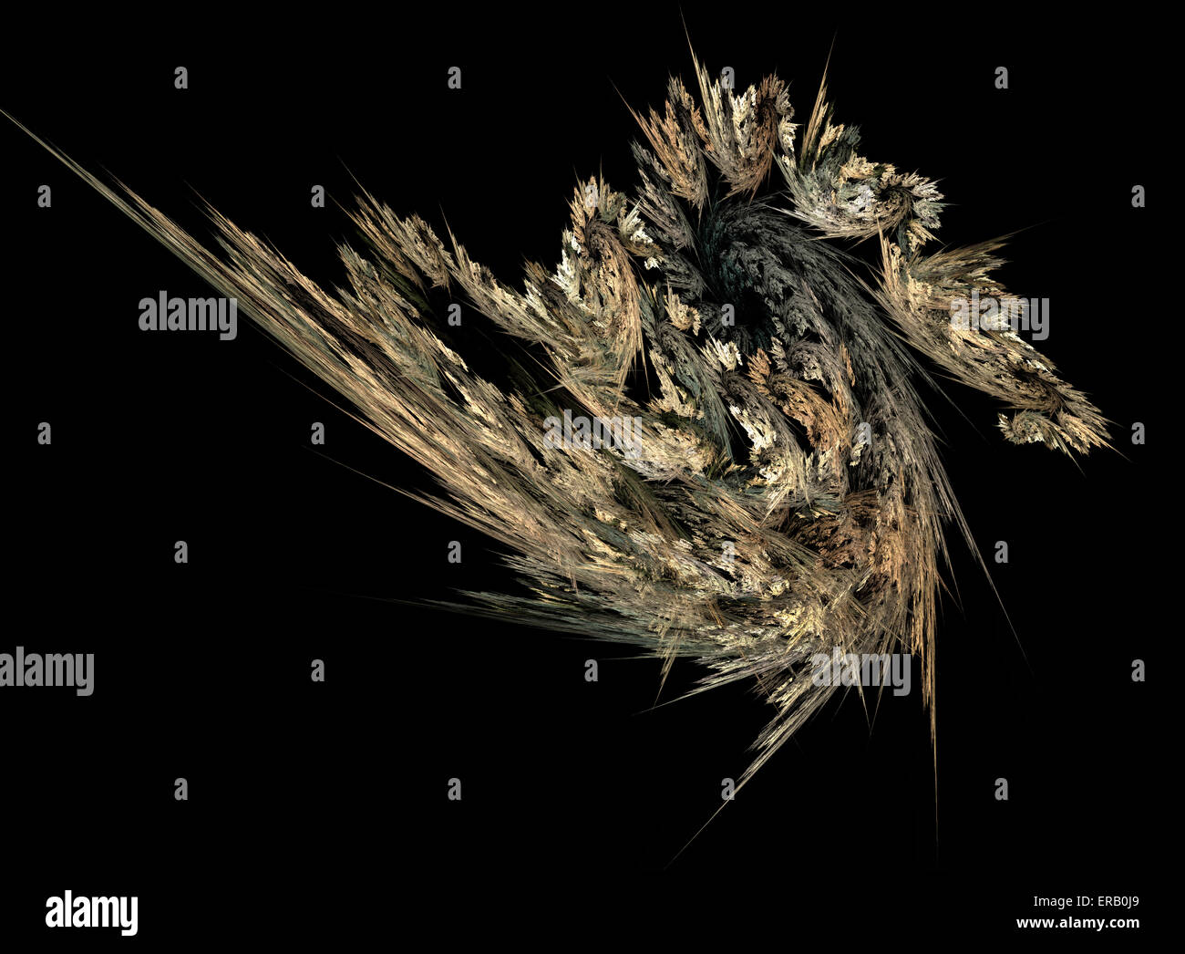 Seepferdchen. Stockfoto