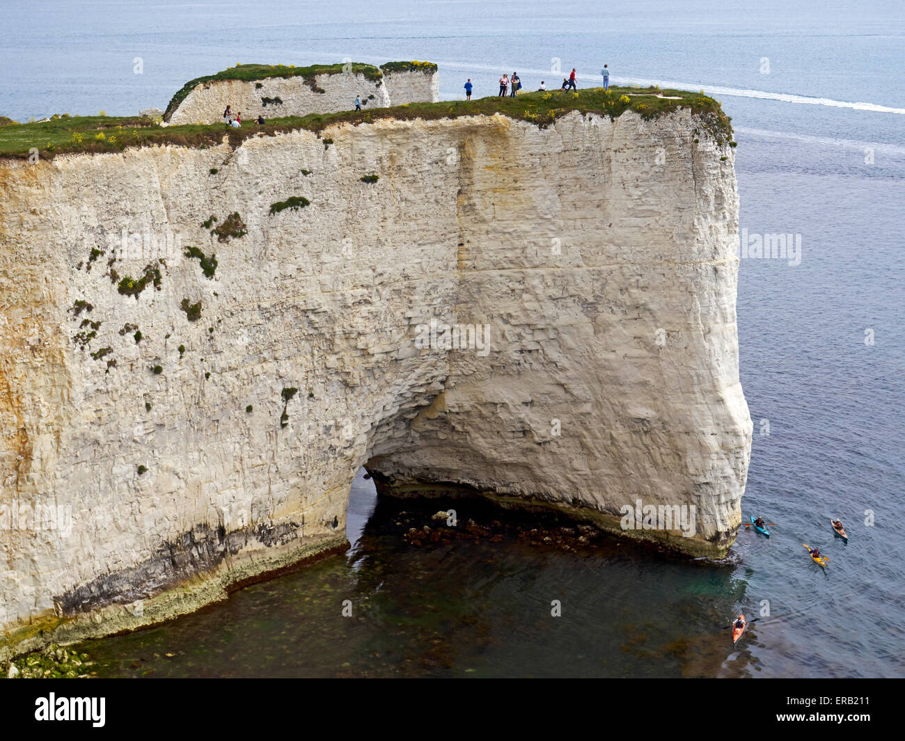 Die spektakulären Kreidefelsen von St. Lucas Leap mit Felsnadeln der alten Felsen Harry hinter Studland Bay, Dorset. Stockfoto