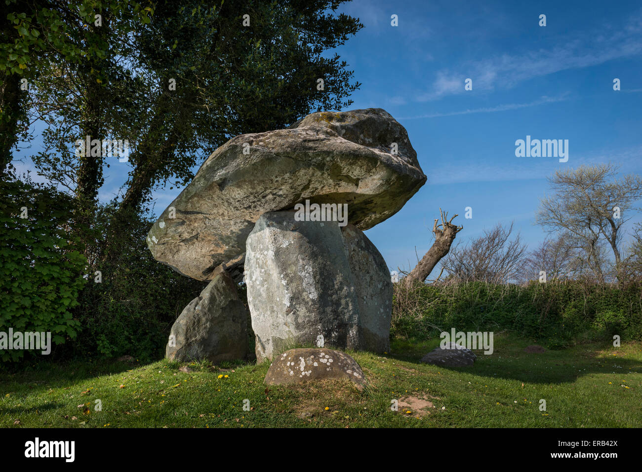 Position Coetan Arthur neolithische Grabkammer (Cromlech) in Newport, Pembrokeshire, Wales Stockfoto