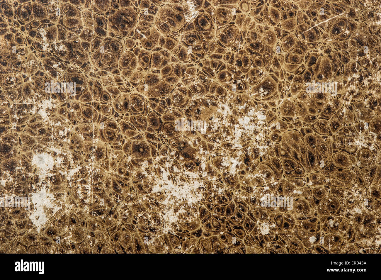 Zerkratzte Hintergrund aus Leder Tiere Muster. Used-Look Papierstruktur Stockfoto