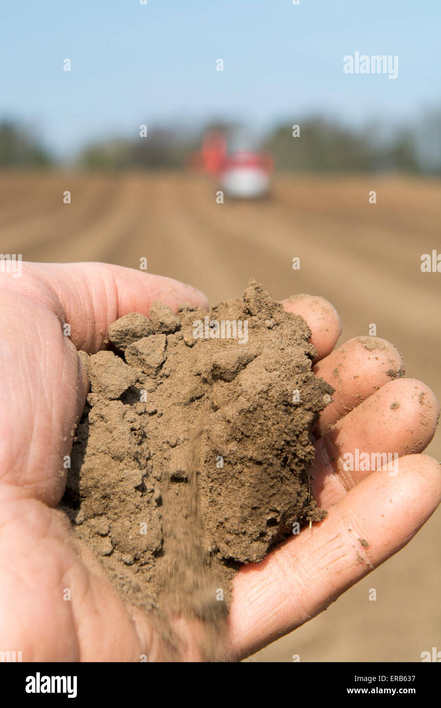 Boden in Bauern Hand gehalten, zeigen die feinen Lehm in das Saatbett geschaffen, ideal für den Anbau von Kartoffeln. Yorkshire, Vereinigtes Königreich. Stockfoto