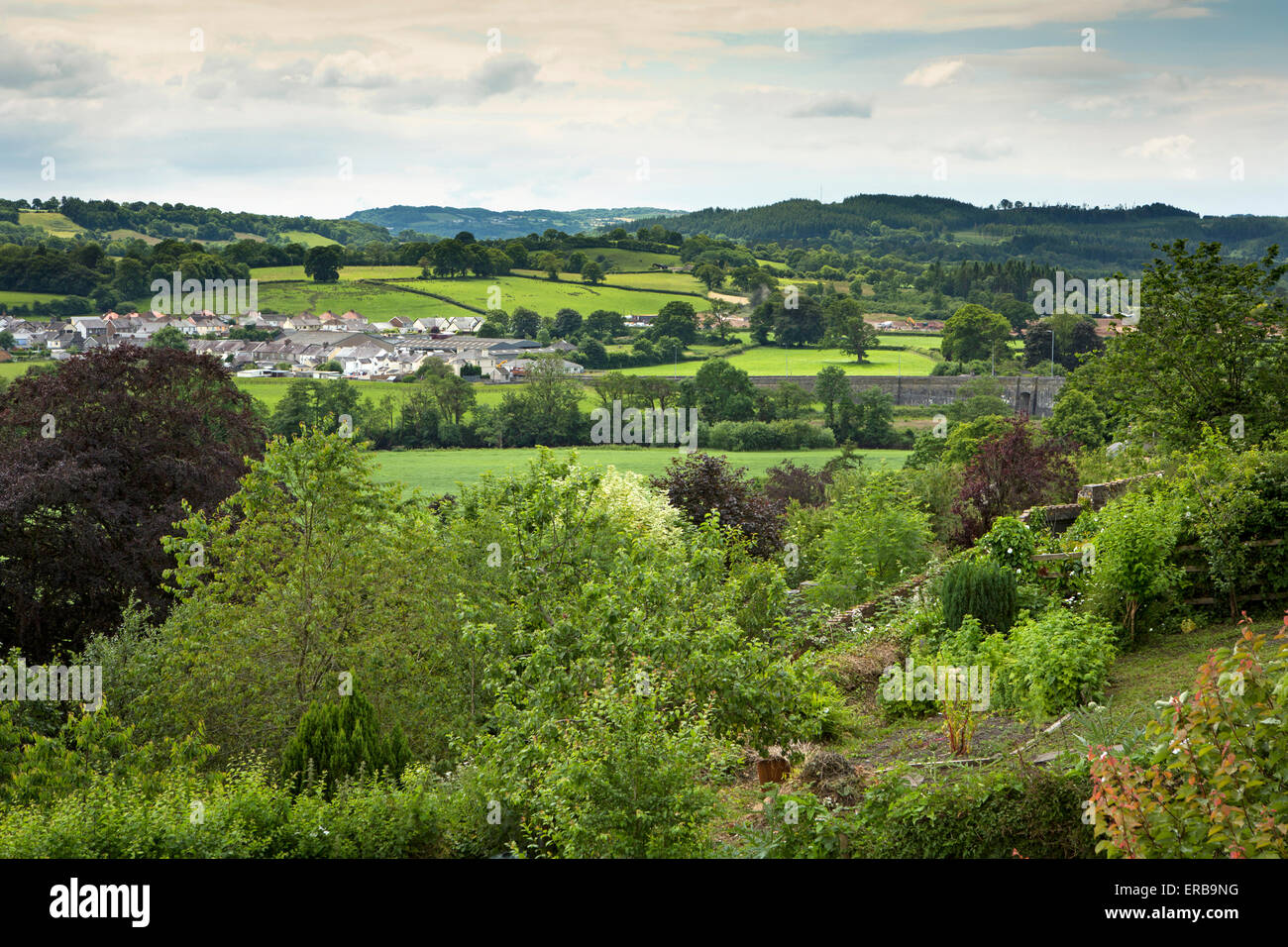 Wales, Carmarthenshire, Llandeilo Afon Tywi, Towy River Tal Stockfoto