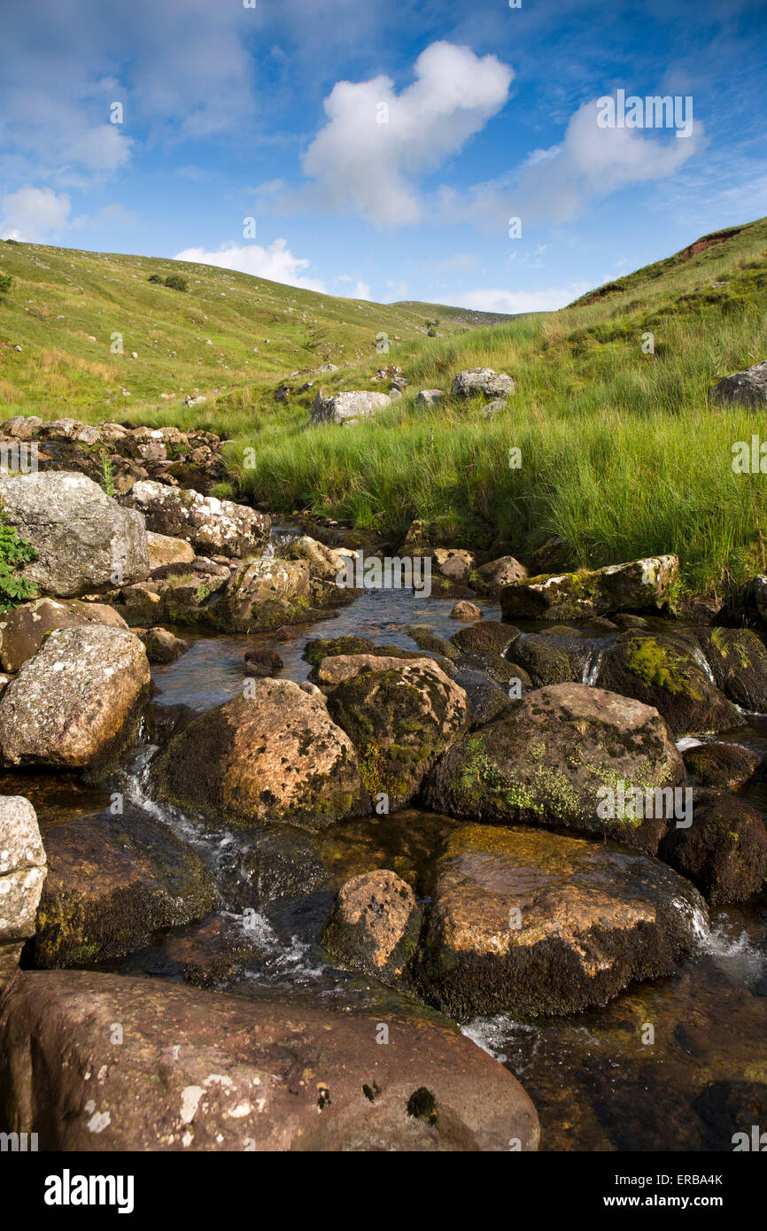 Wales, Carmarthenshire, Mynydd Du Pont Clydach Afon Clydach, abfließende Black Mountain Stockfoto