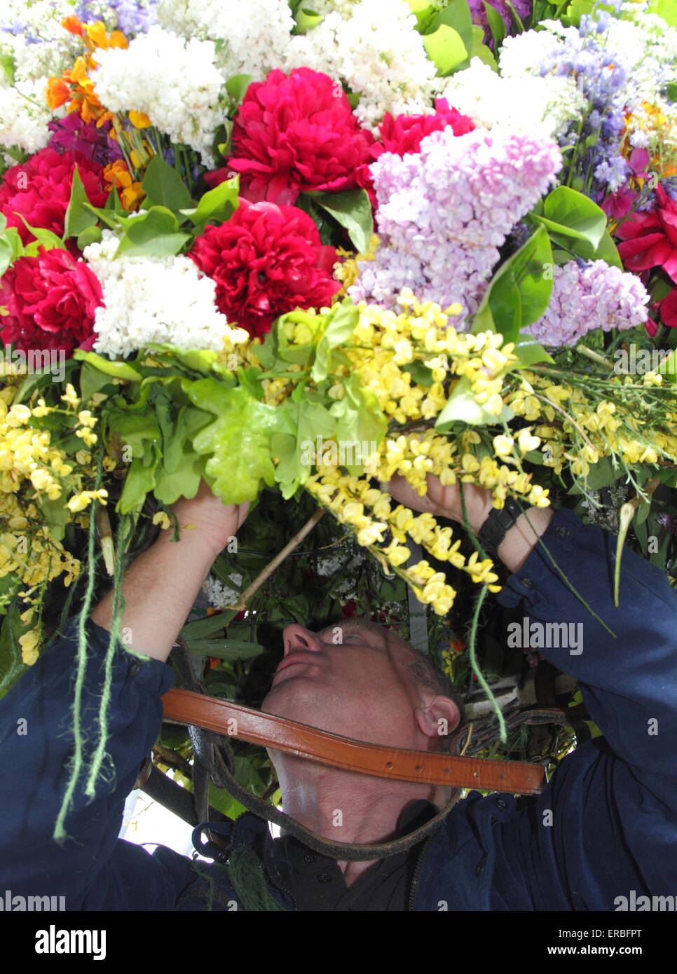 Eine Girlande Maker verleiht den letzten Schliff der Flora Kopfschmuck getragen durch die Girlande King Oak Apple Day, Castleton feiern Stockfoto