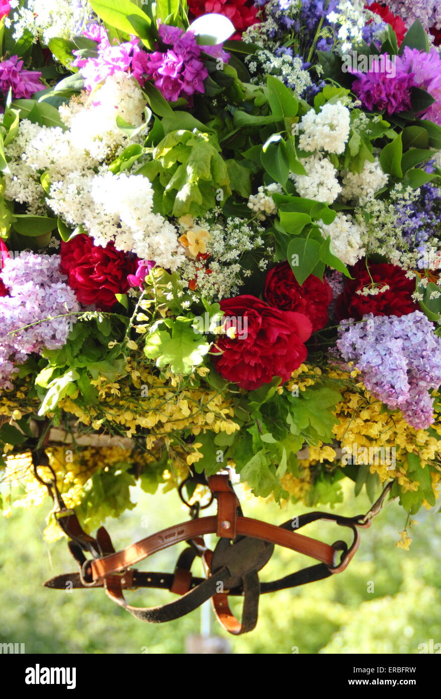 Die floralen Kopfbedeckung getragen durch die Girlande König Eiche Apple Tag in Castleton, Peak District, Derbyshire, UK-close-up zu feiern. Stockfoto