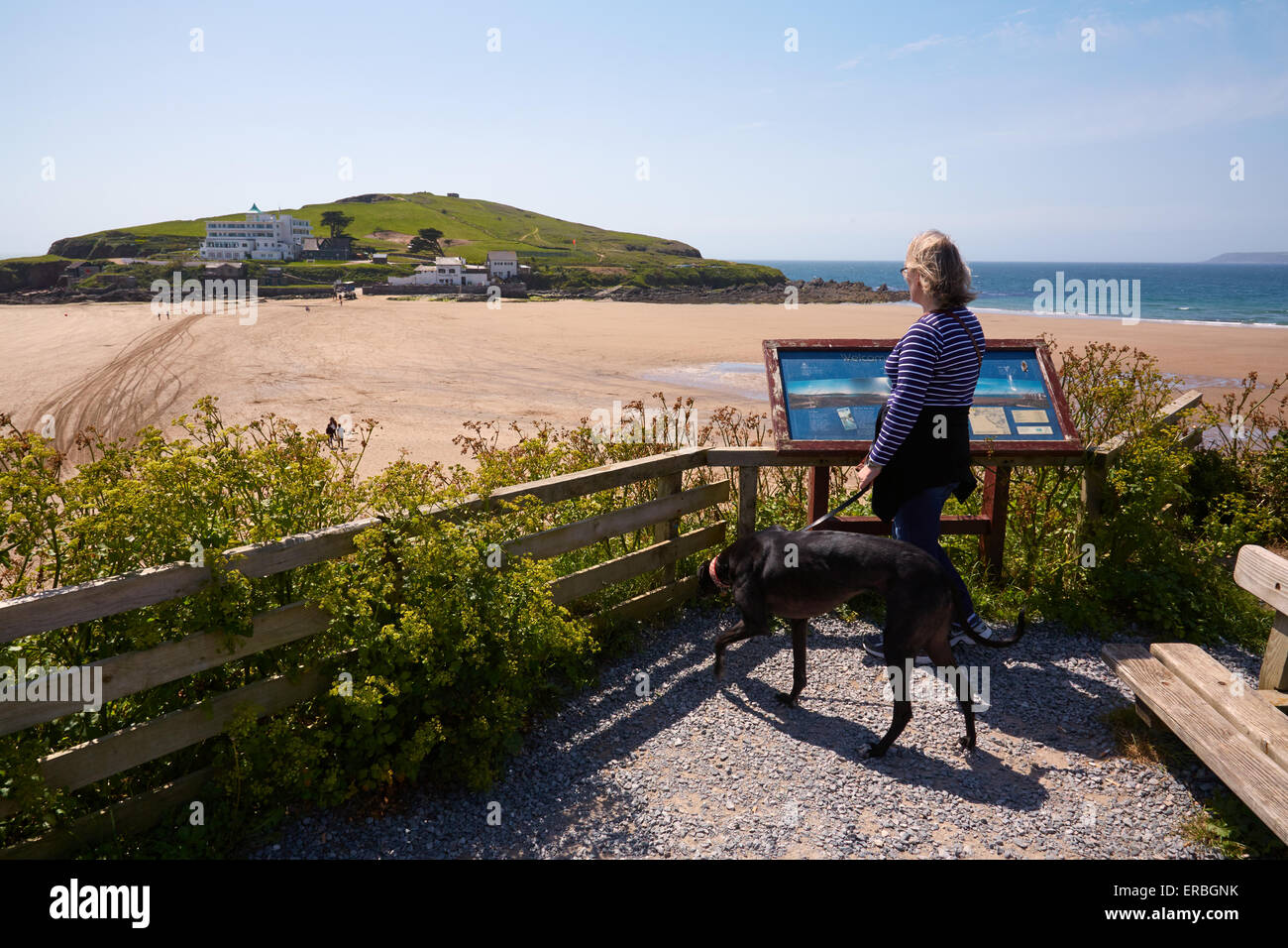 Fuß einen Windhund am Strand von Bigbury-sur-Mer. Burgh Island und das Art-Déco-Burgh Island Hotel im Hintergrund Stockfoto