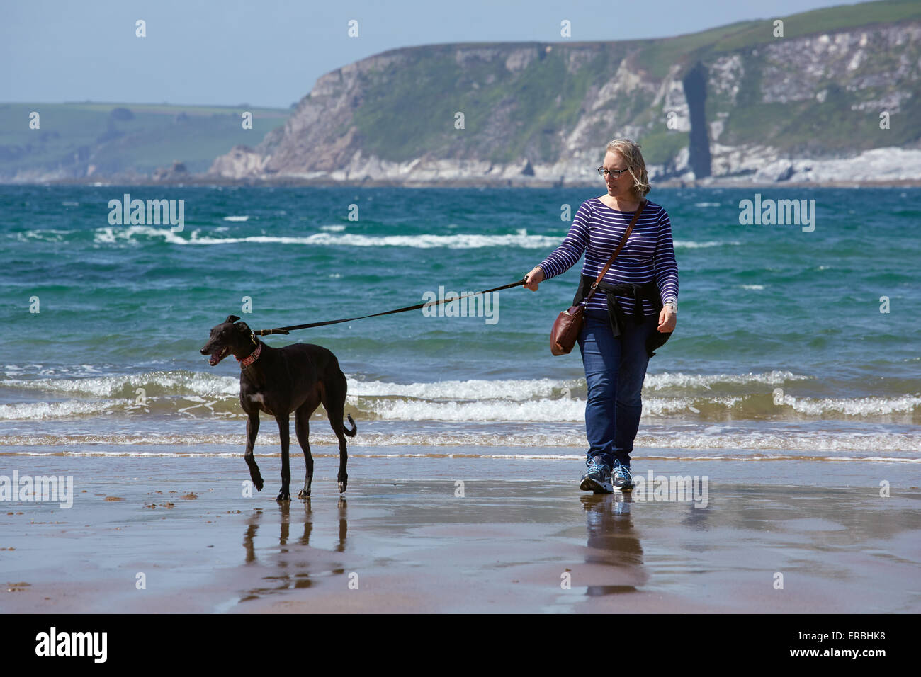 Eine Frau, die Ausübung eines Windhunds auf einem englischen Strand. Stockfoto