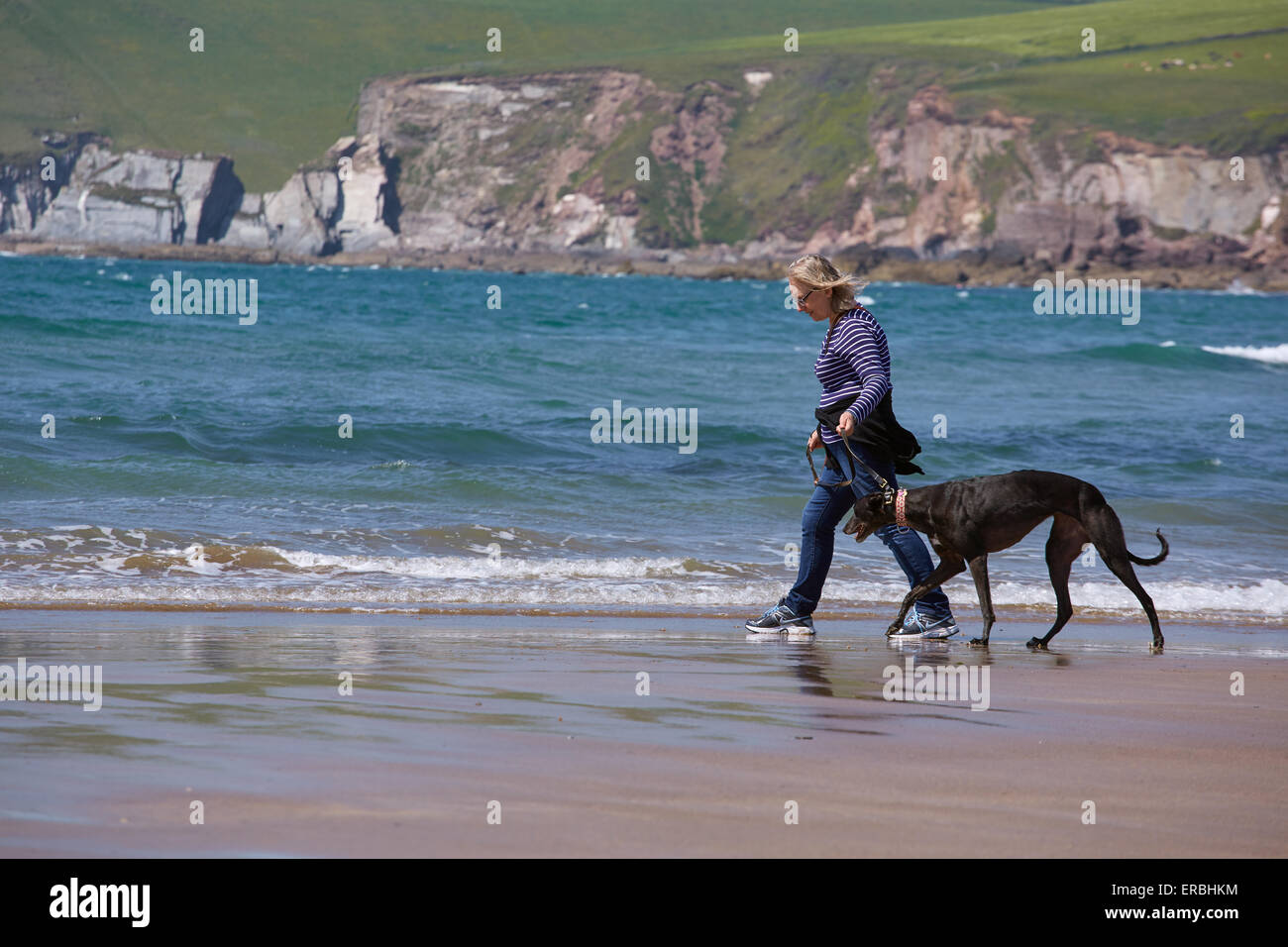 Eine Frau, die Ausübung eines Windhunds auf einem englischen Strand. Stockfoto