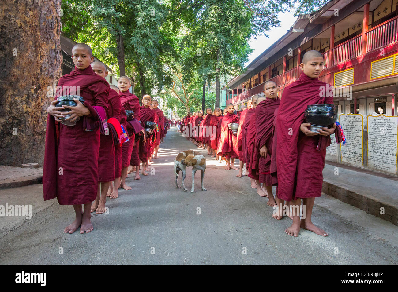 Mönche aufgereiht für die letzte Mahlzeit des Tages im Kloster Amarapura, Mandalay Myanmar Stockfoto