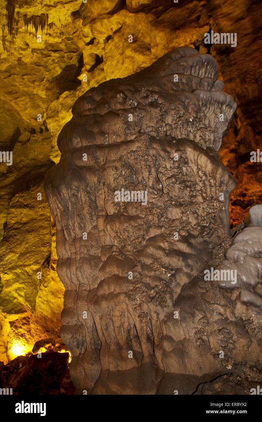 Carlsbad Caverns National Park Stockfoto