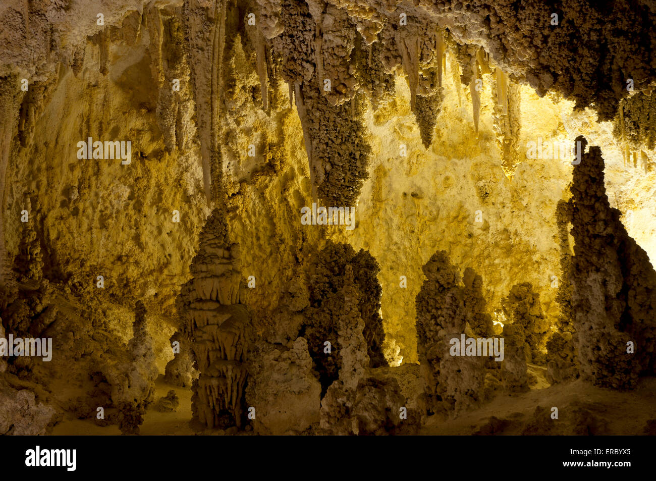 Carlsbad Caverns National Park Stockfoto