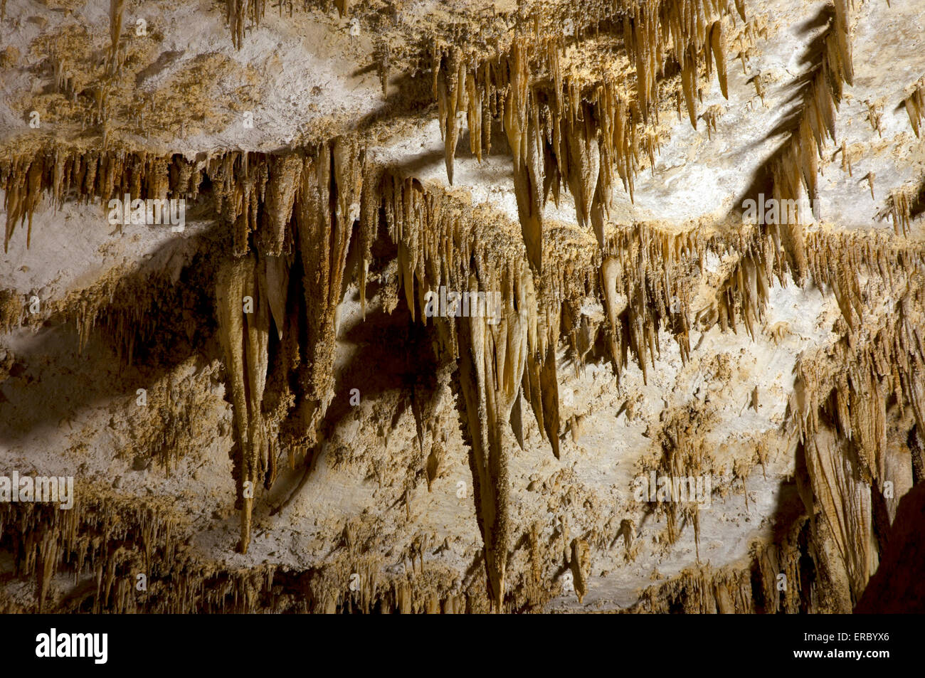 Carlsbad Caverns National Park Stockfoto