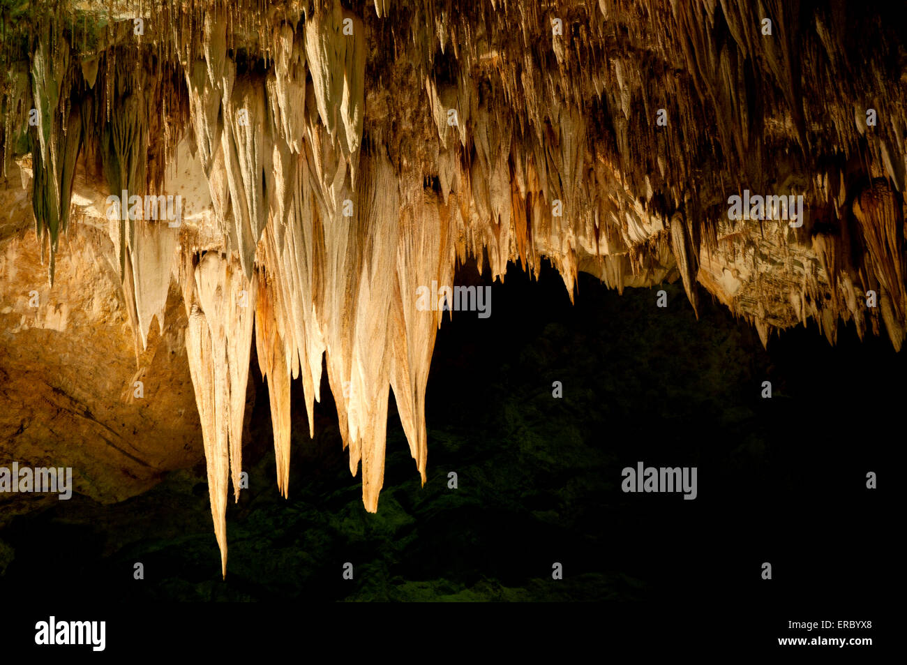 Stalaktiten, Carlsbad Caverns National Park Stockfoto