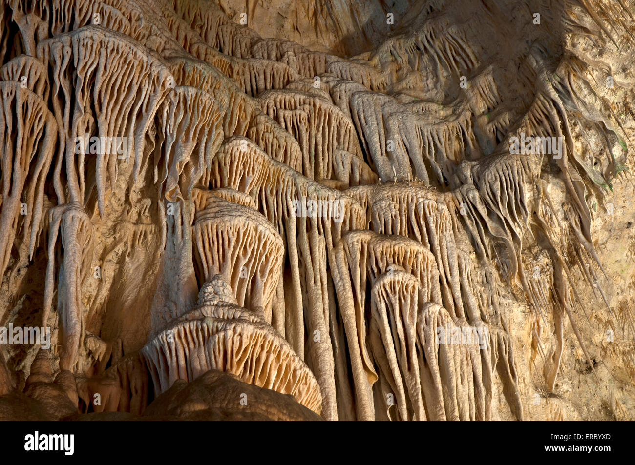 Textur der riesigen Kuppel Spalte, Hall of Giants in Carlsbad Caverns National Park, New Mexico Stockfoto