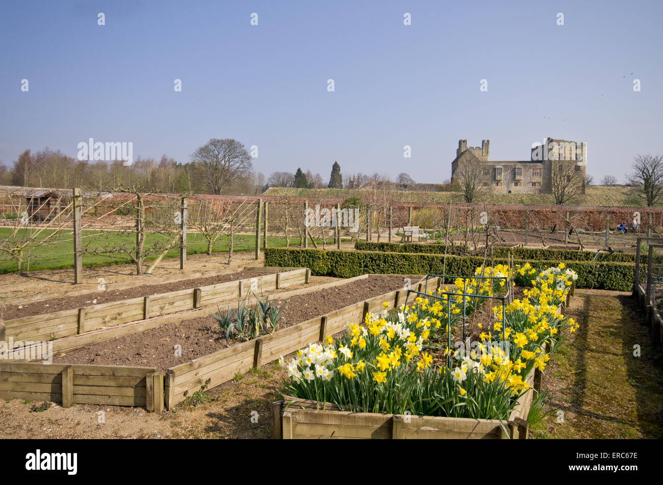 Helmsley ummauerten Garten im Frühjahr Stockfoto