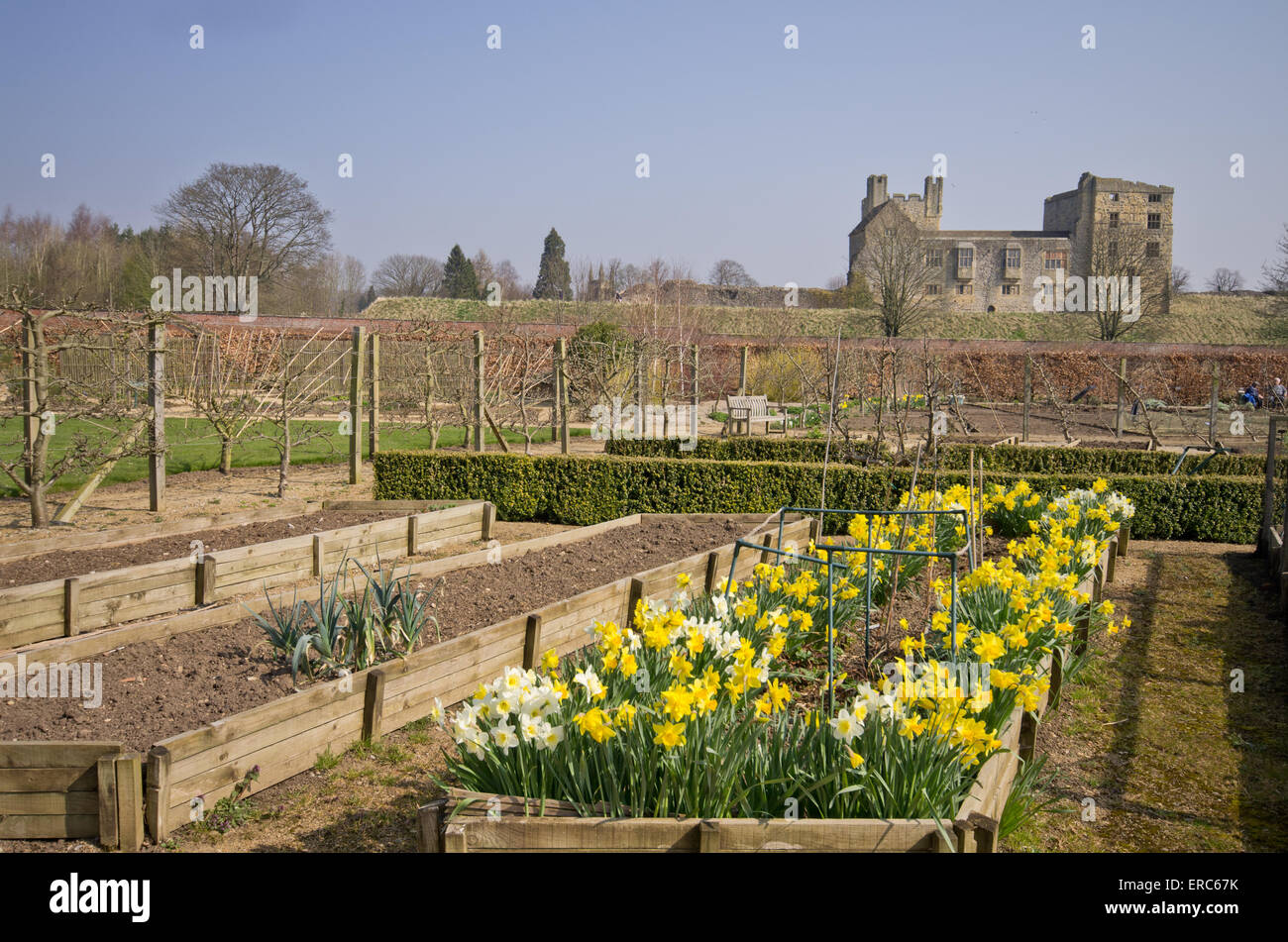Helmsley ummauerten Garten im Frühjahr Stockfoto