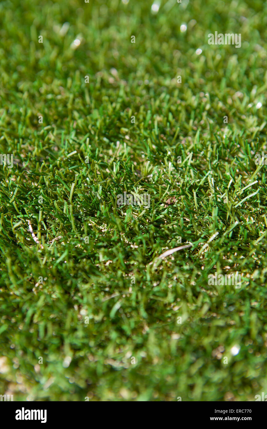 Ein Kunststoff "Astro Turf" Rasen. Wasser sparen und keine Wartung. Stockfoto