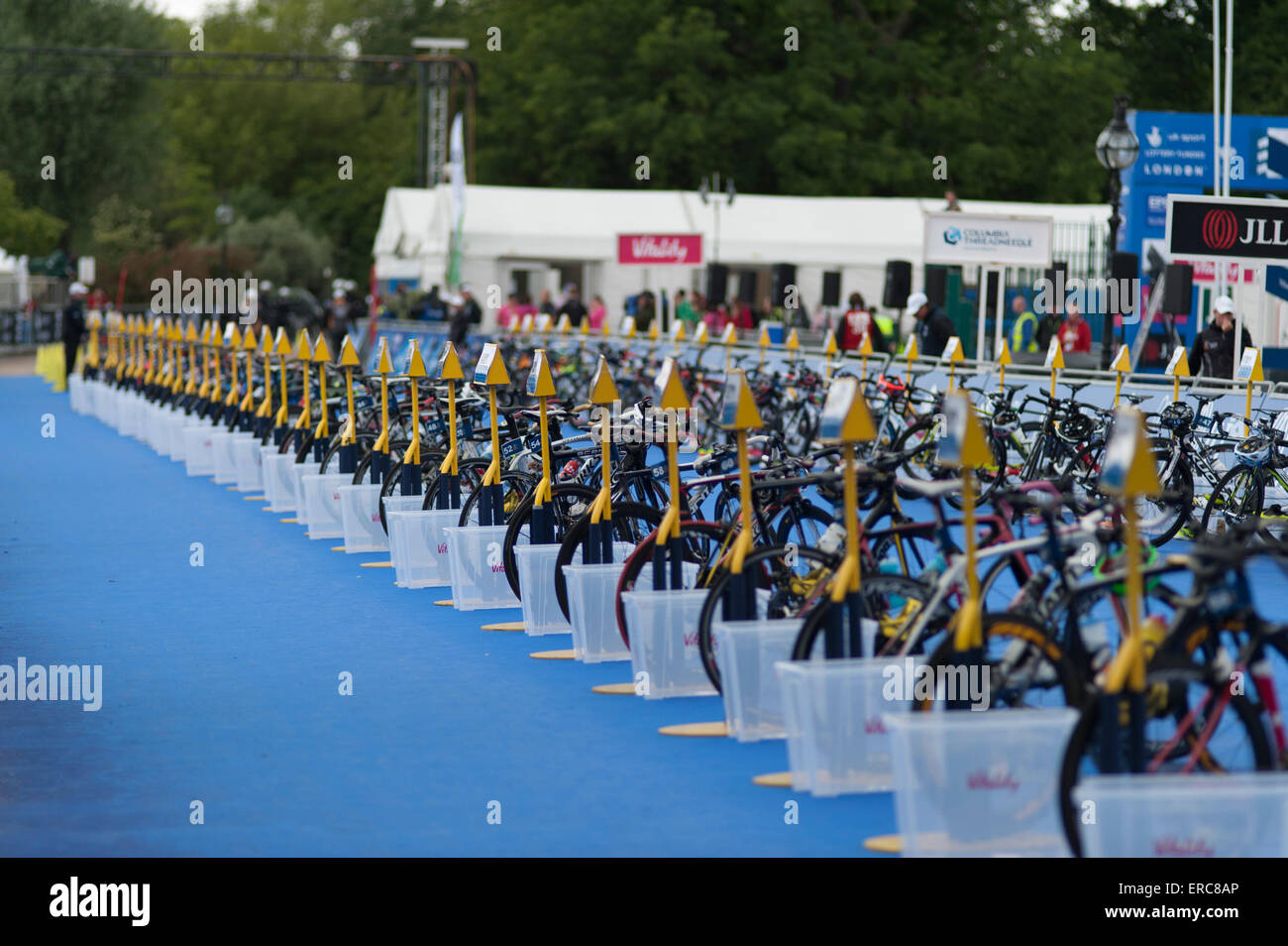 Fahrräder, aufgereiht in der Wechselzone beim London Triathlon ITU im Hyde Park. Stockfoto