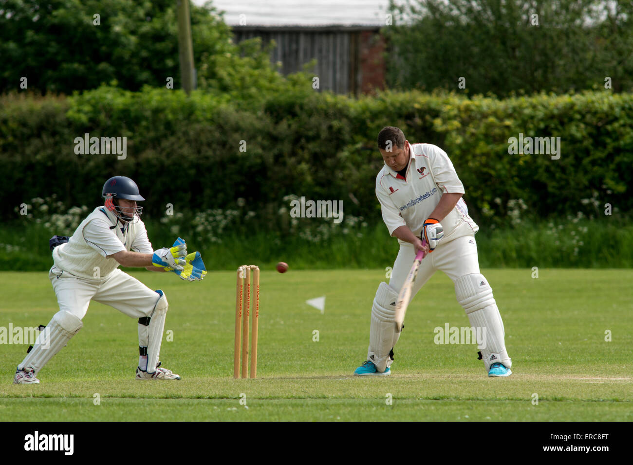 Dorf Cricket bei Stockton, Warwickshire, England, UK Stockfoto