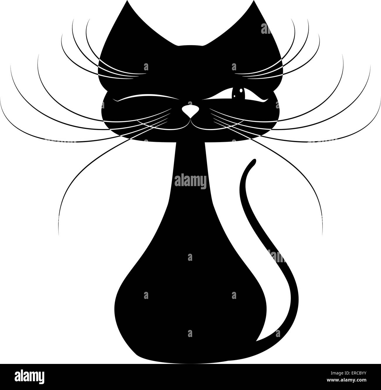 Schwarze Katze auf einem weißen Hintergrund Stockfoto