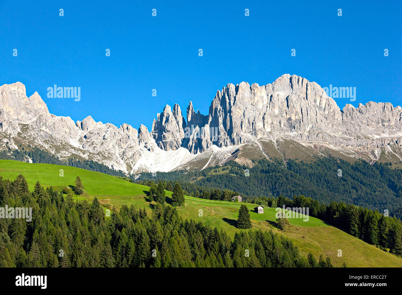 Rose Garden Berggruppe, Stufen, Reifen, Alto Adige, Südtirol, Italien Stockfoto