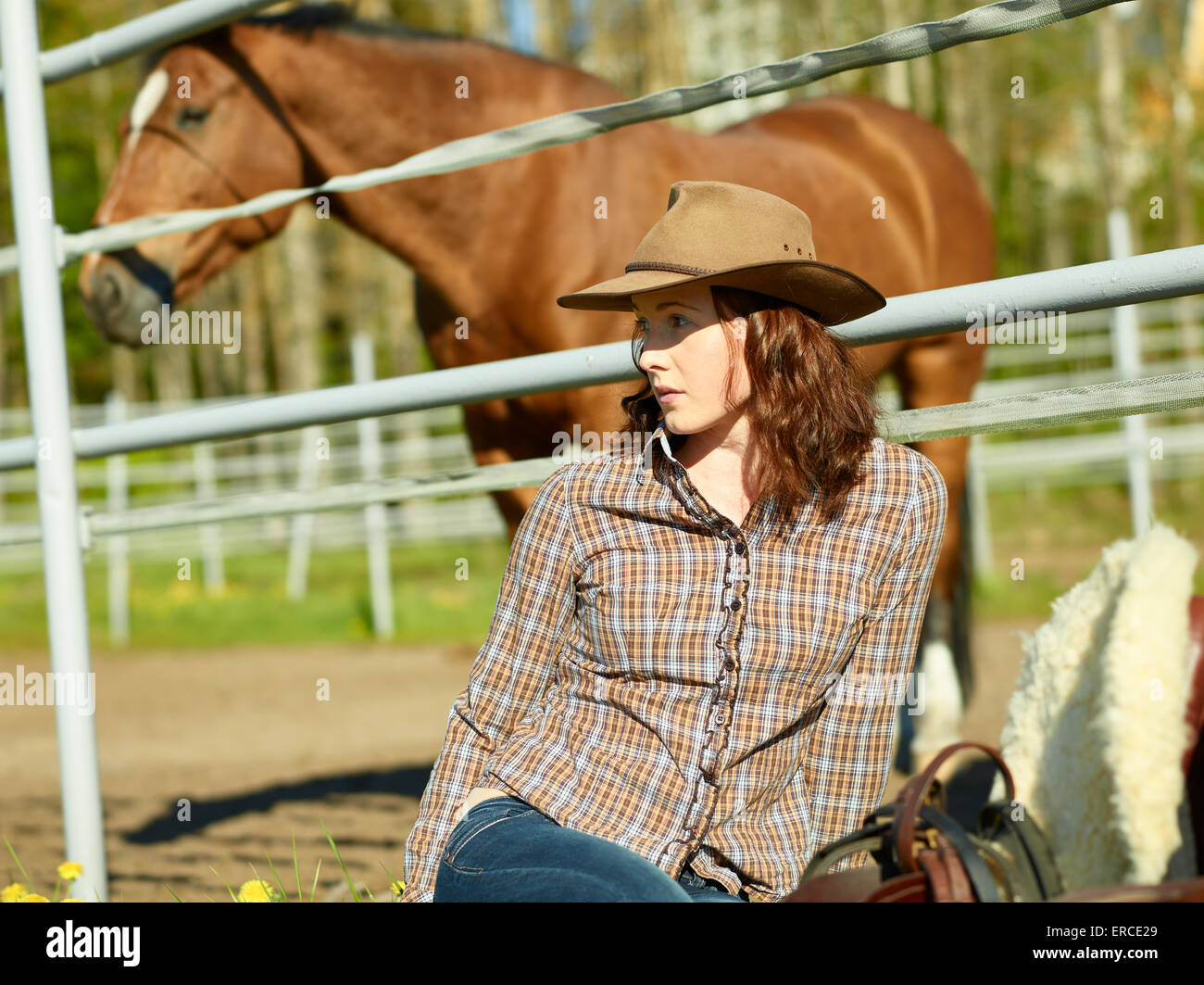 Cowgirl und Sattel, Pferd auf eine Koppel Stockfoto